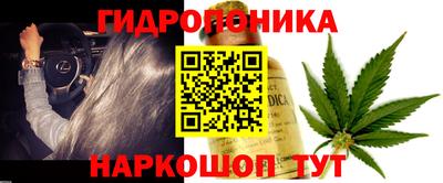 spice Гусиноозёрск
