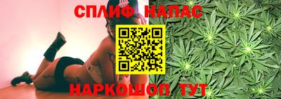 spice Гусиноозёрск