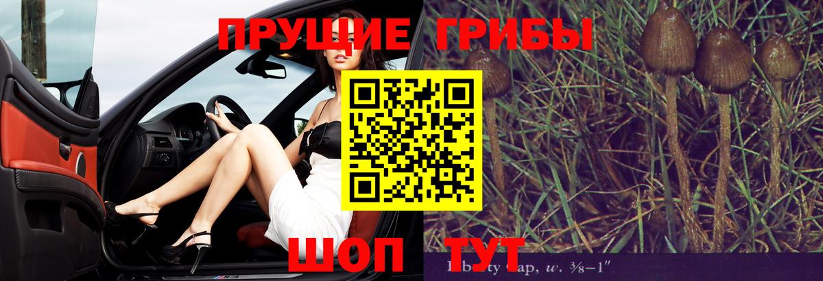 Галлюциногенные грибы GOLDEN TEACHER Гусь-Хрустальный
